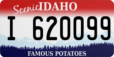 ID license plate I620099