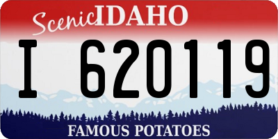 ID license plate I620119