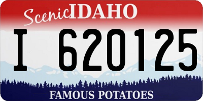 ID license plate I620125