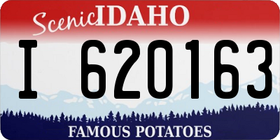 ID license plate I620163