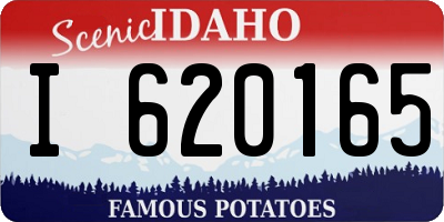 ID license plate I620165