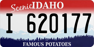 ID license plate I620177