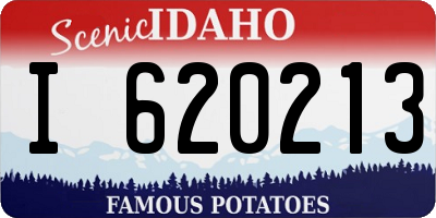 ID license plate I620213