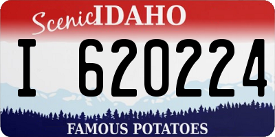 ID license plate I620224