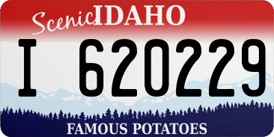 ID license plate I620229
