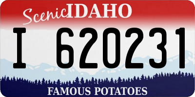 ID license plate I620231