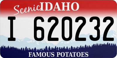 ID license plate I620232