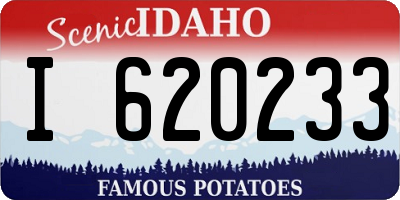 ID license plate I620233
