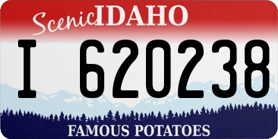 ID license plate I620238