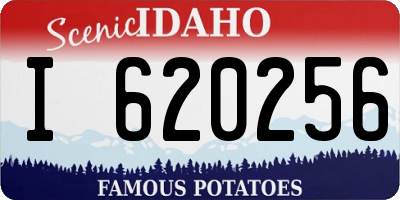 ID license plate I620256