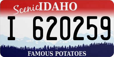 ID license plate I620259
