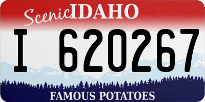 ID license plate I620267