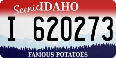 ID license plate I620273