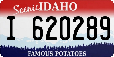 ID license plate I620289