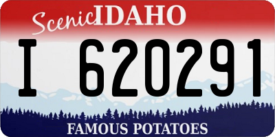 ID license plate I620291