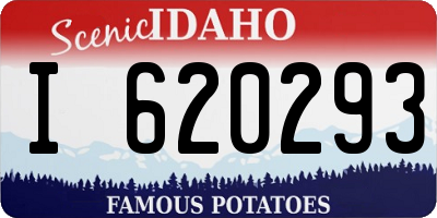 ID license plate I620293