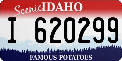ID license plate I620299
