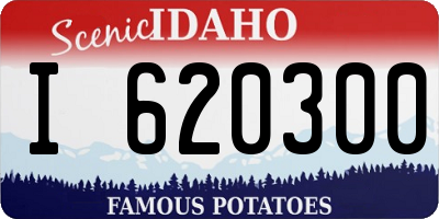 ID license plate I620300