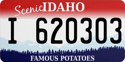 ID license plate I620303