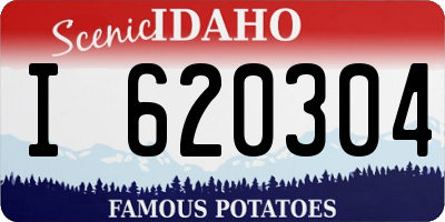 ID license plate I620304