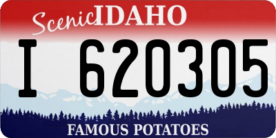 ID license plate I620305