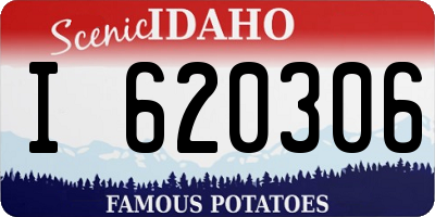 ID license plate I620306