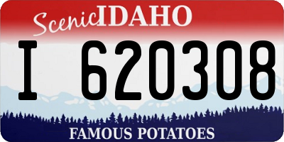 ID license plate I620308