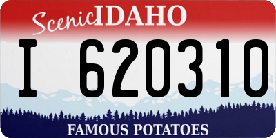 ID license plate I620310