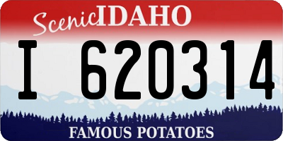 ID license plate I620314