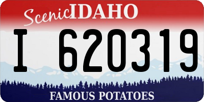 ID license plate I620319
