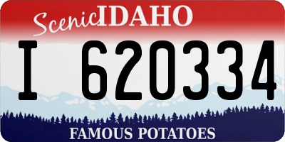 ID license plate I620334