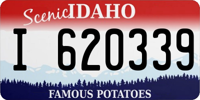 ID license plate I620339