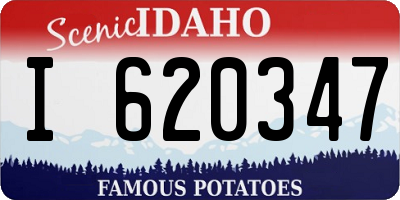 ID license plate I620347