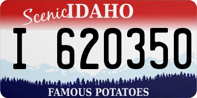 ID license plate I620350