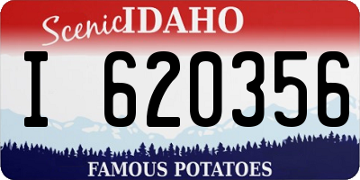 ID license plate I620356