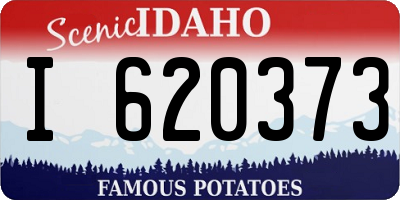 ID license plate I620373