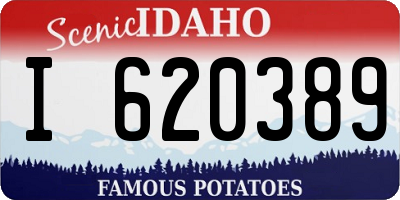 ID license plate I620389