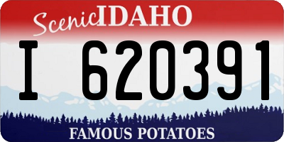 ID license plate I620391