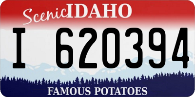ID license plate I620394