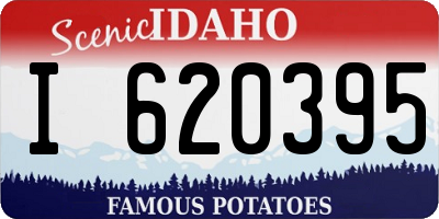 ID license plate I620395