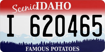 ID license plate I620465
