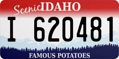 ID license plate I620481