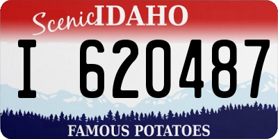 ID license plate I620487