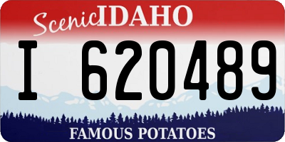 ID license plate I620489