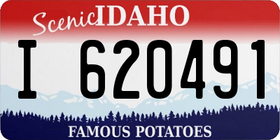ID license plate I620491
