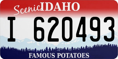 ID license plate I620493