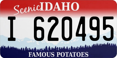 ID license plate I620495