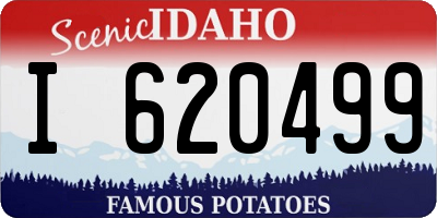 ID license plate I620499