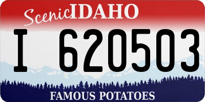 ID license plate I620503