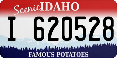 ID license plate I620528